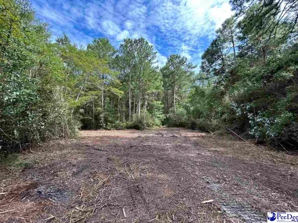 0 Highway 52 S, Cheraw, SC 29520