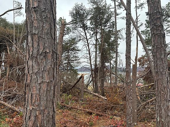 5th image of 0 Eagle Claw Ln Lot 32