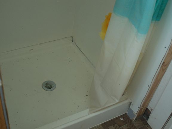 4th image of 167 W Brooklyn St