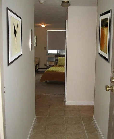 220 Babcock St #3A — Photo 13