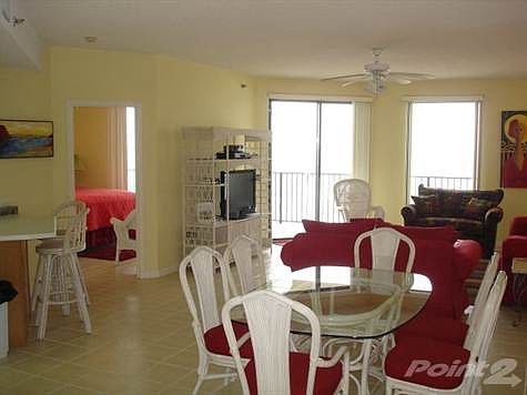 Dining/Living Area