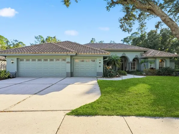 4954 Turtle Creek Trl, Oldsmar, FL 34677
