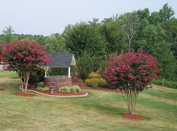 4th image of 2624 Pebble Creek Dr