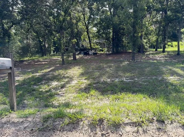 2517 Angelica Ave, Middleburg, FL 32068