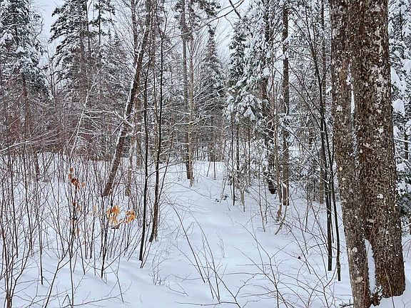 5th image of 1606 Town Farm Road