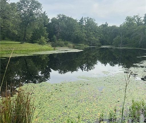 5th image of 1170 County Road 278