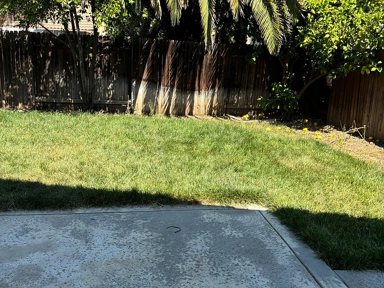 530 Bridgeford Dr — Photo 15
