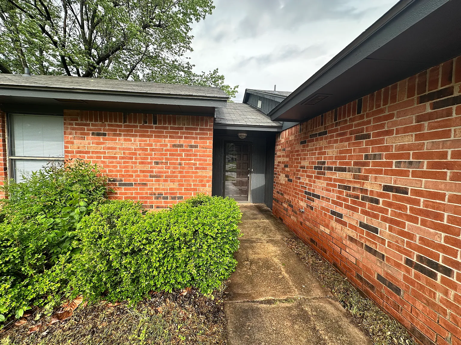 3 bed, 1245 sqft, $1,495 — Photo 2