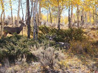 County Road 25, Blue mesa subdivision area, CO 81243