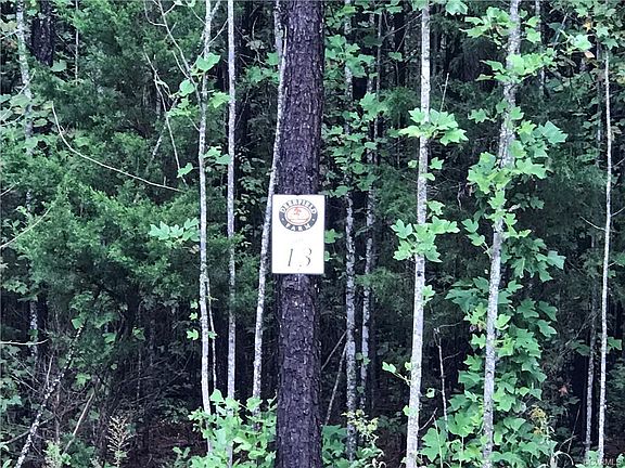4th image of 15187 Whitetail Hollow Ct