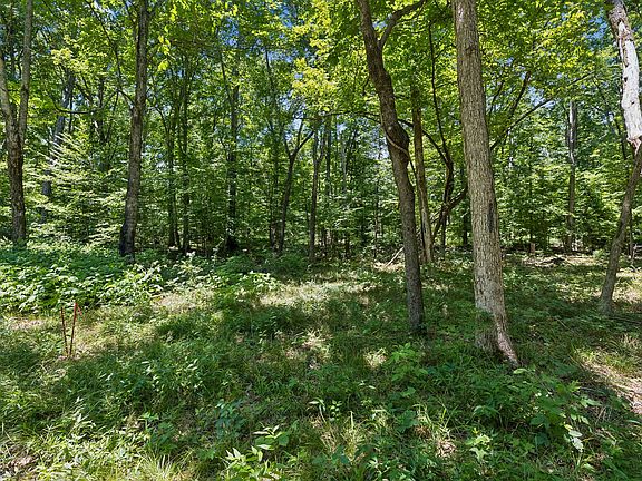 3rd image of 9346 Christiana Fosterville Rd