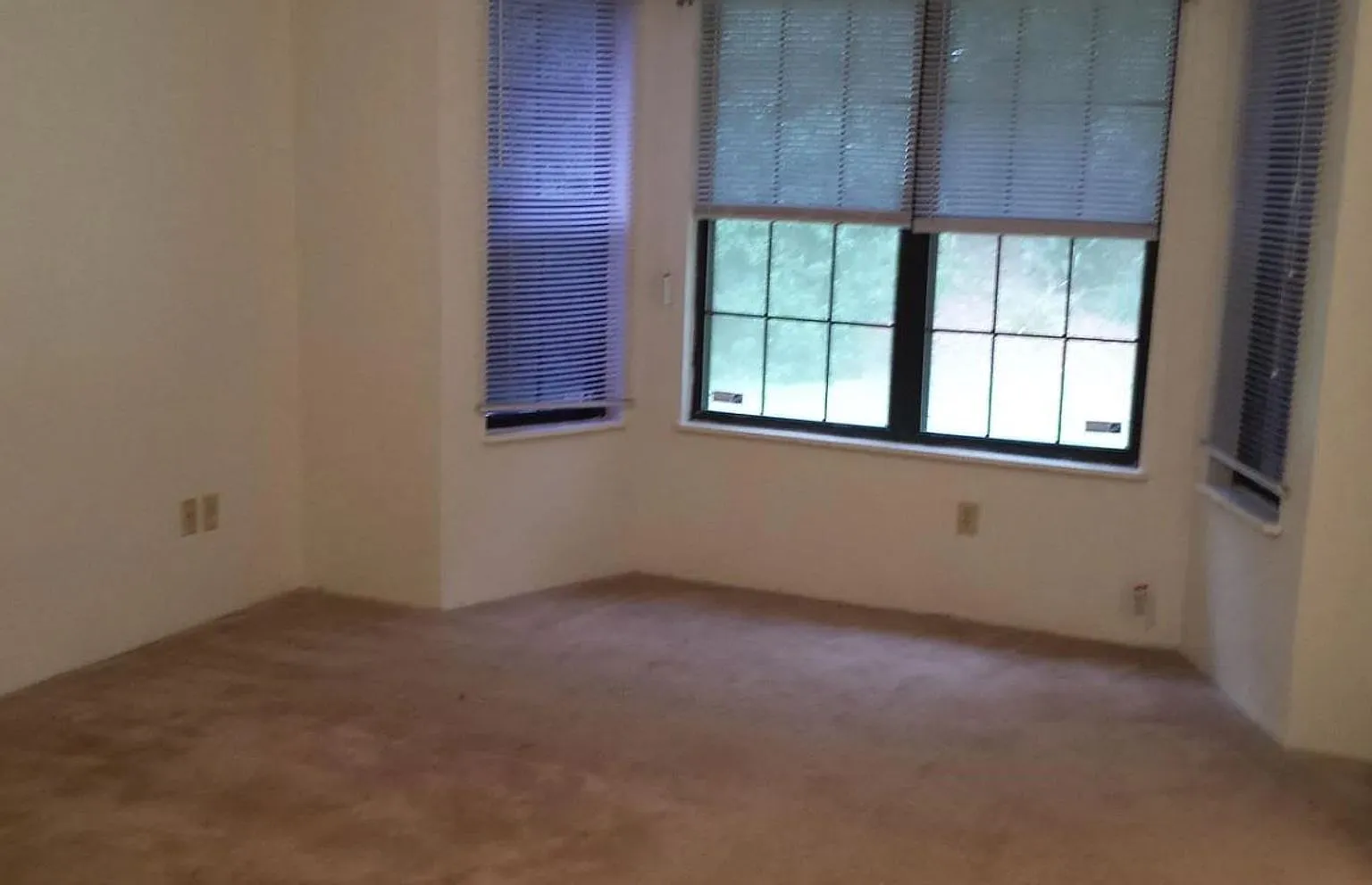 3/2 House in NE Tallahassee! Available Mid-November! — Photo 3