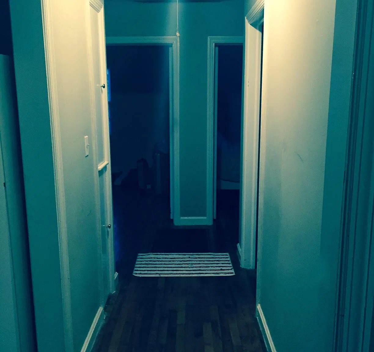 3 bed, 1150 sqft, $2,150 — Photo 3