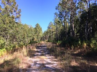 575 Green Swamp Rd, Brunswick, GA 31525