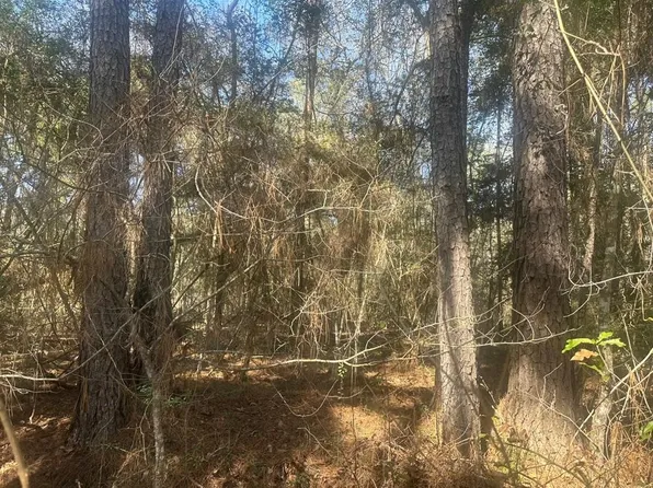 Lot 5 Todd Mission Drive, Plantersville, TX 77363