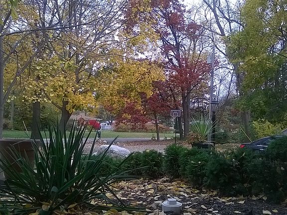 3rd image of 3410 24 Mile Rd
