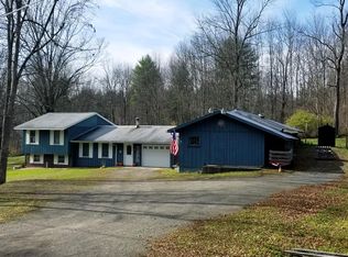 147 Dan Main Rd, Norwich, NY 13815