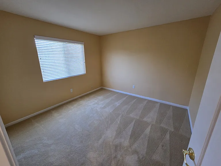 4206 Virginia Pine Ct — Photo 19