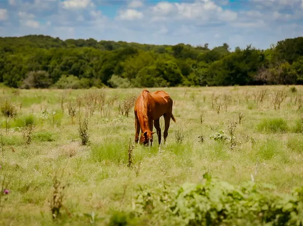 0 Fm 308, Milford, TX 76670