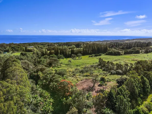 29-2458 Kaiwiki Homestead Rd Lot 11-B, Hakalau, HI 96710