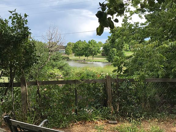 Backyard view of park & pond