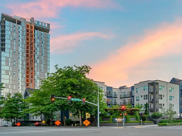 Ellington at Bellevue