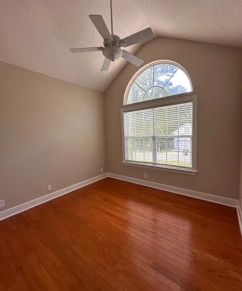 135 Palmera Ln — Photo 7