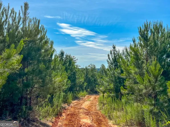 None None, Buena Vista, GA 31803