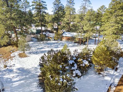 1983 Christmas Pine Cir, Overgaard, AZ, 85933