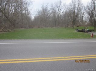 17 Crittenden Rd, Akron, NY 14001