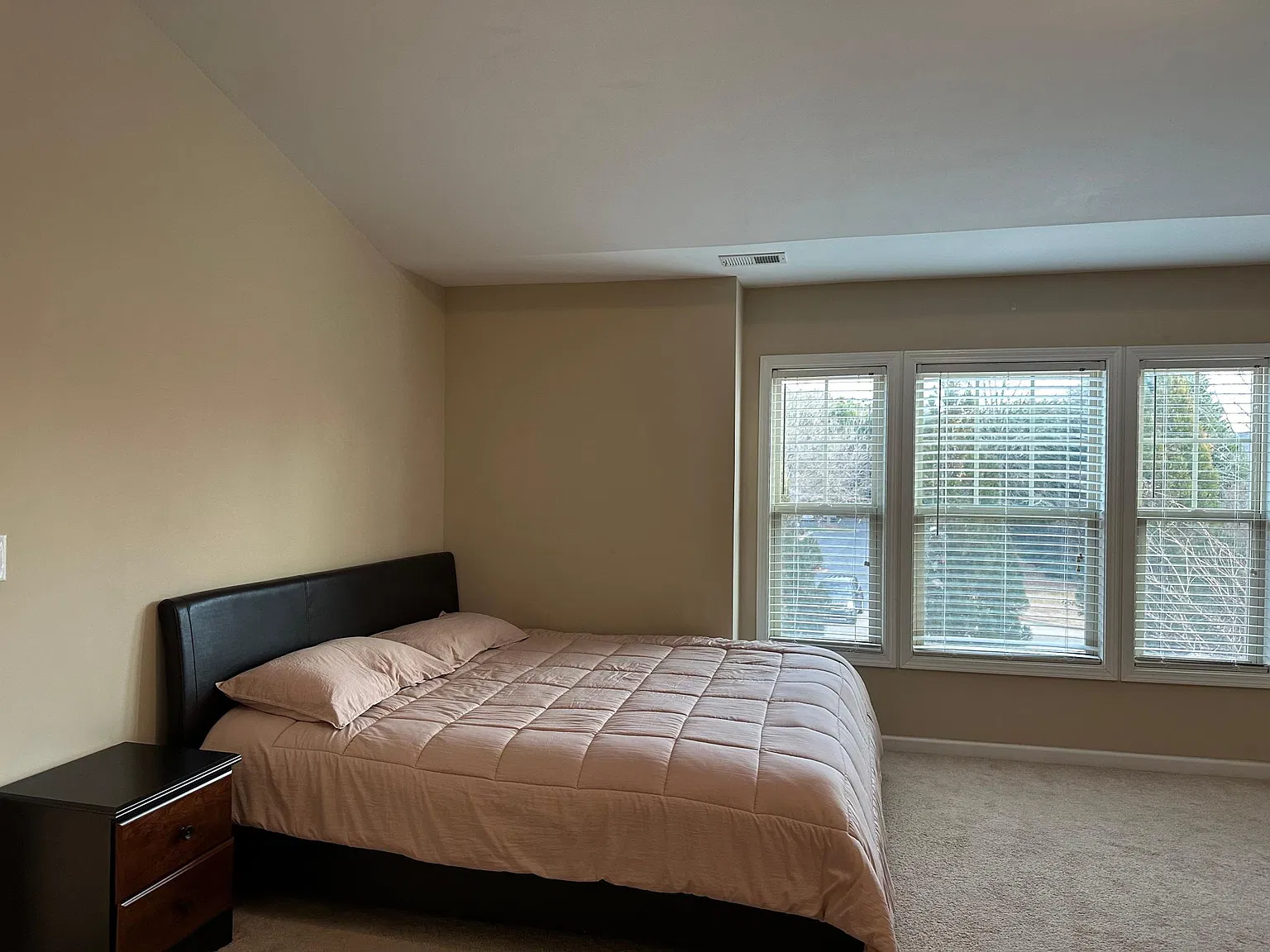 4380 Cedar Bridge Walk — Photo 3