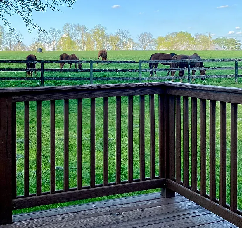 5 bed, 2600 sqft, $2,350 — Photo 3