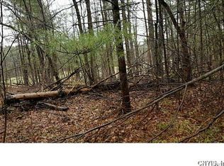 123 Lead Mine Rd, Redwood, NY 13679