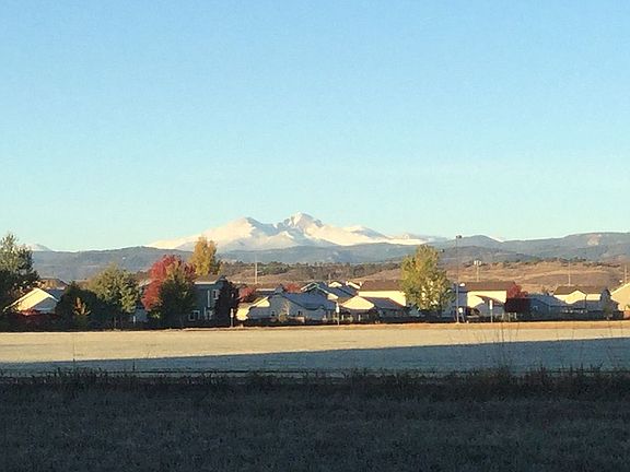 view from back yard