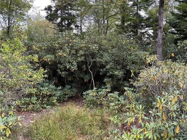 Delaware Dr #C281-282, Jim Thorpe, PA 18229