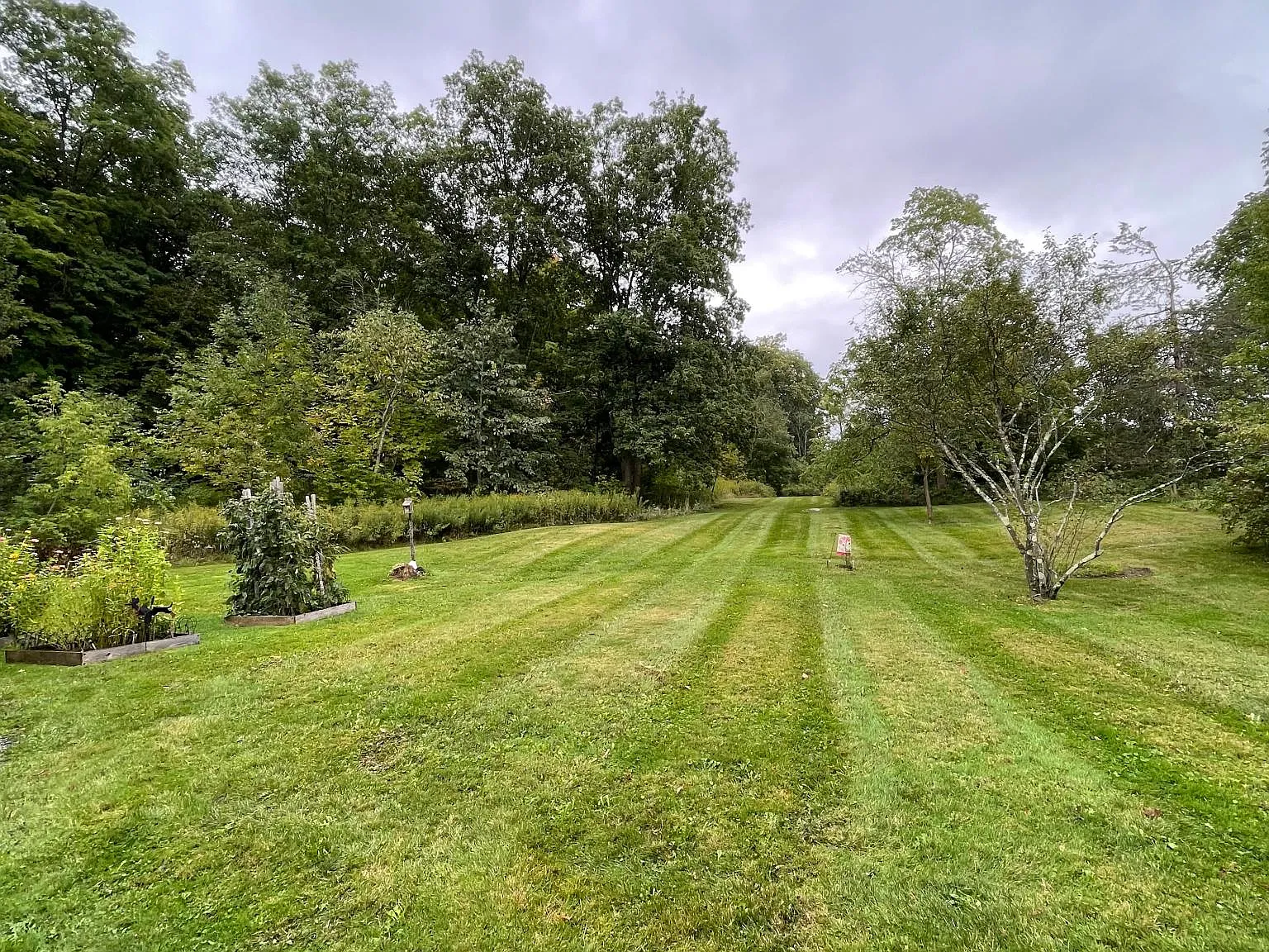 Prindle Rd, Charlotte — Photo 2
