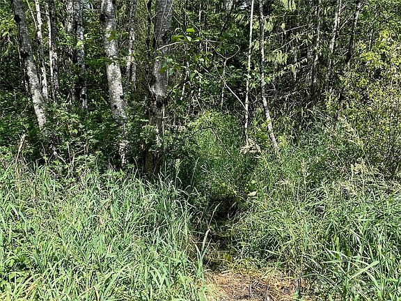 5th image of 0 Spirit Lake Highway #0037