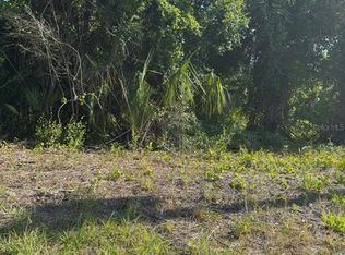 431 Birch Blvd LOT 5, Georgetown, FL 32139