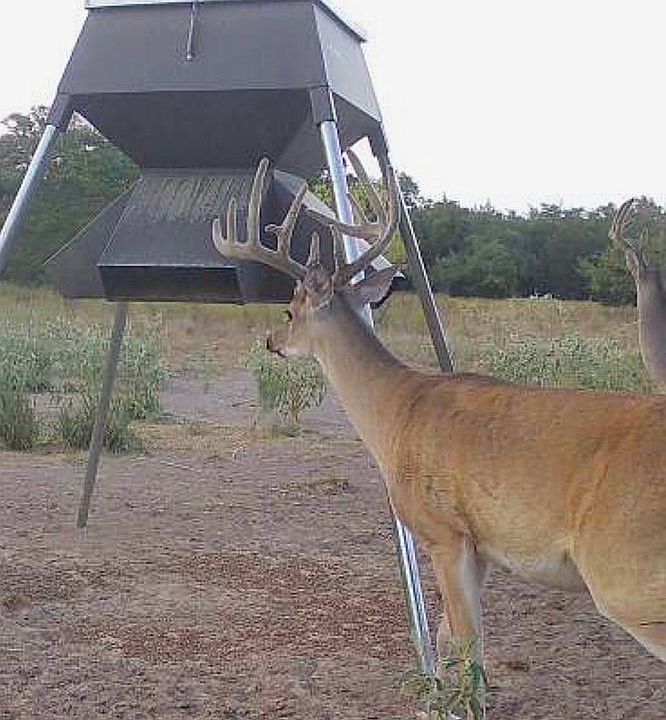 1625 Shaws Bend Rd, Columbus, TX 78934 Zillow