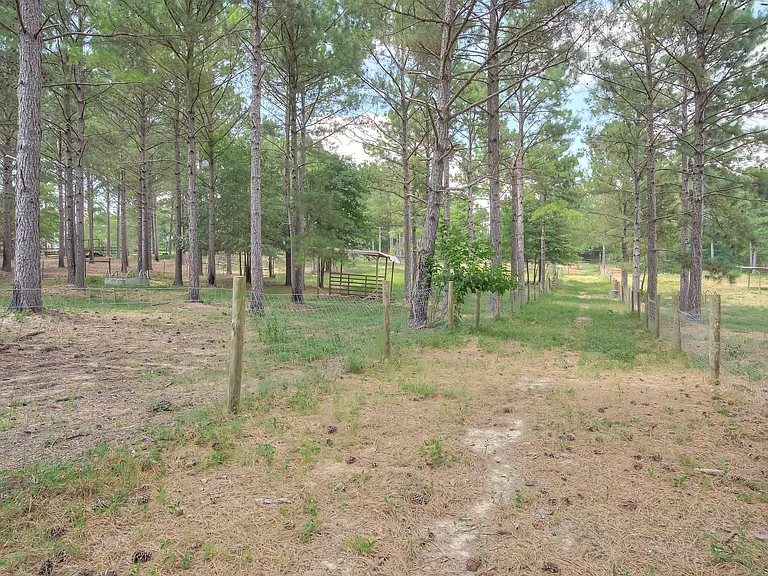 5329 Linder McCurdy Rd — Photo 28
