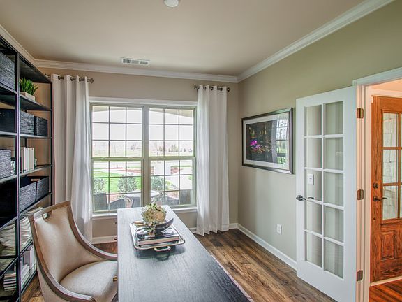 Model Representation