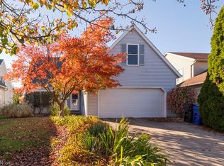 1135 Ferman Ave, Cleveland, OH 44109