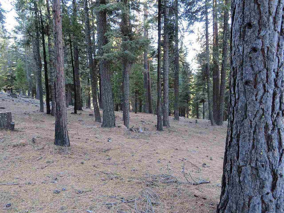 2nd image of 246 Osprey Loop