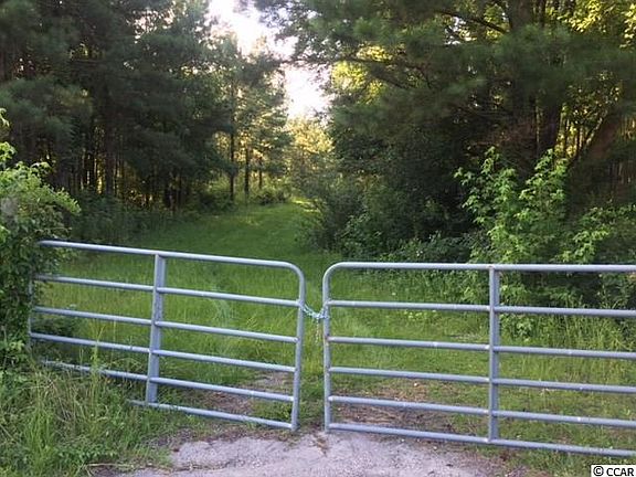 5th image of tbd Senator Gasque Rd. #1729 Wise Chapel Ct