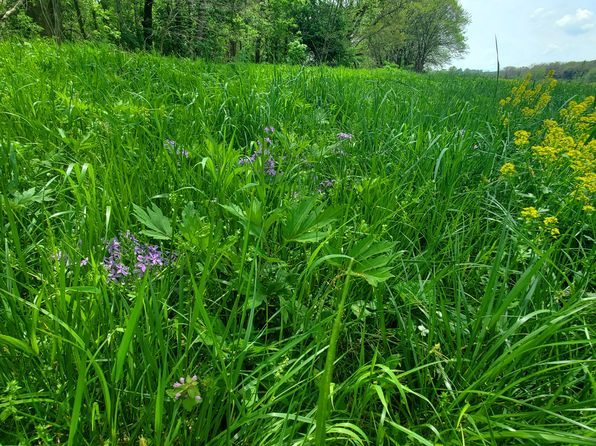 000 Lot 6 Of Big Piney Estates, Houston, MO 65483