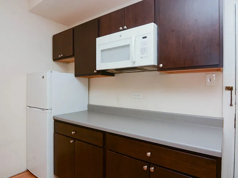 3335 W Diversey Ave #802 — Photo 3