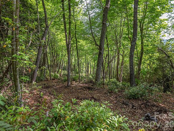 3rd image of LOT-114R Toxaway Dr