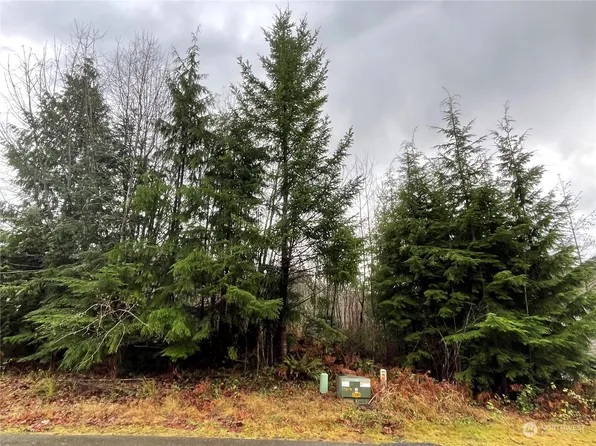 0 E Ellinor Peak Place, Belfair, WA 98528