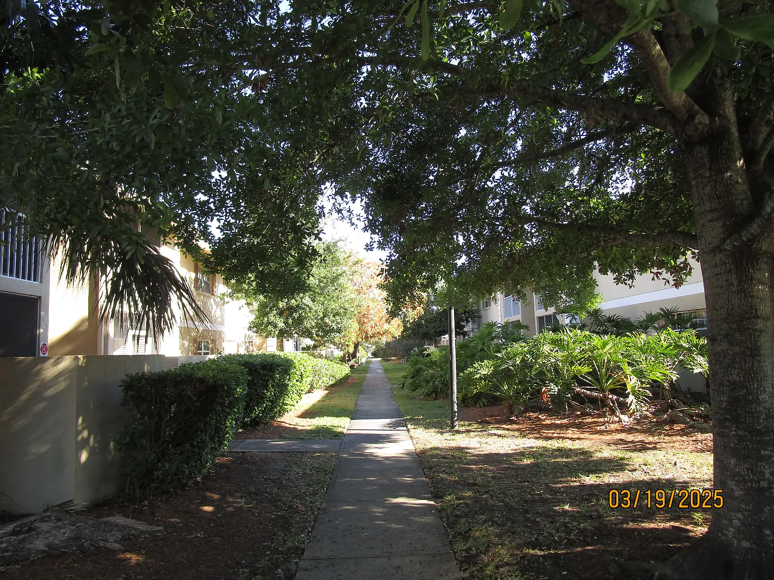COUNTRY GARDEN — Photo 4