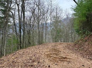 46 & 51 Big Secret Ln, Murphy, NC 28906